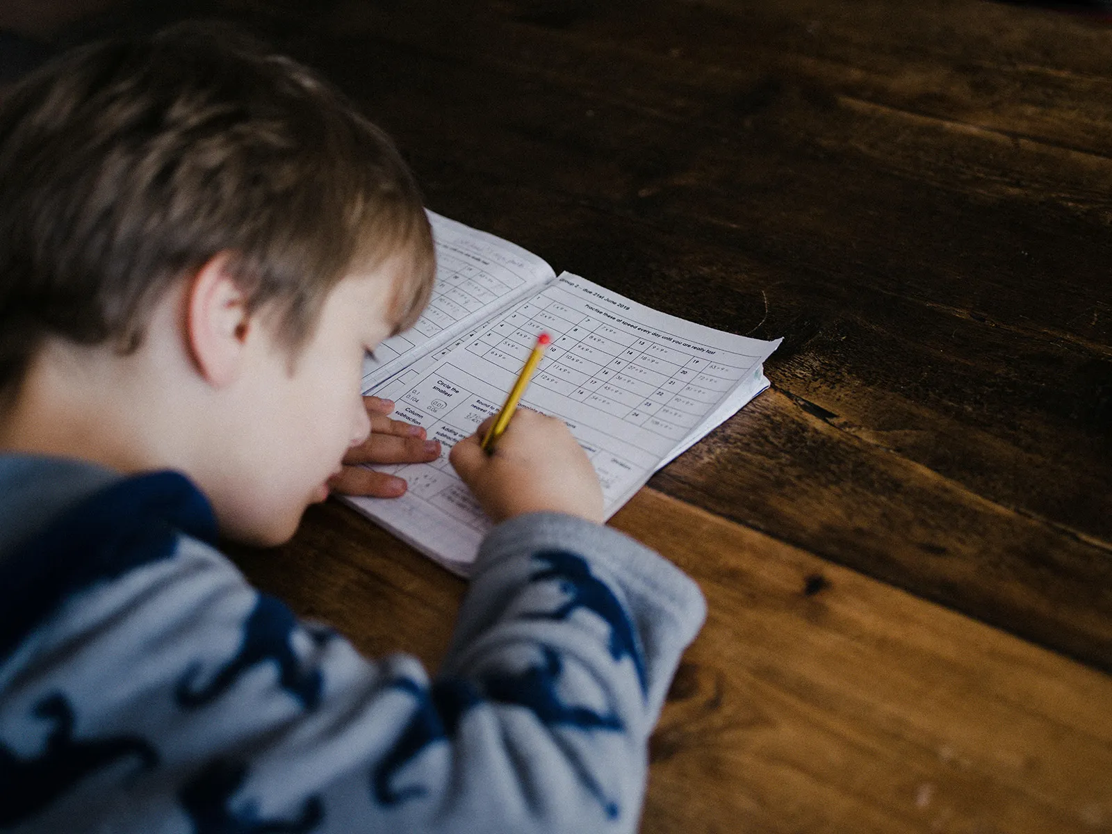 Boy studying