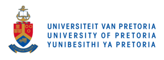 University of Pretoria